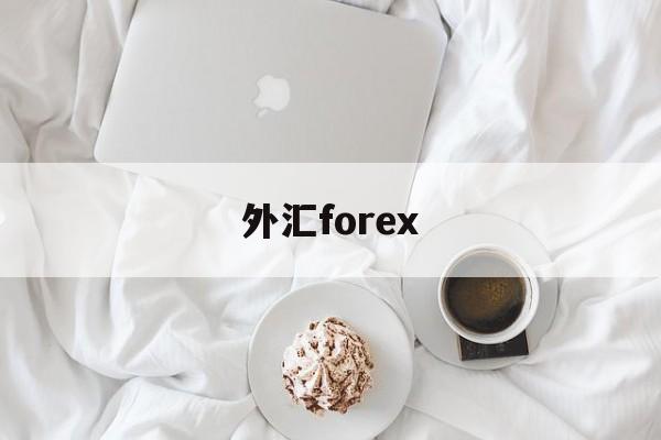 外汇forex(外汇forex是什么意思)