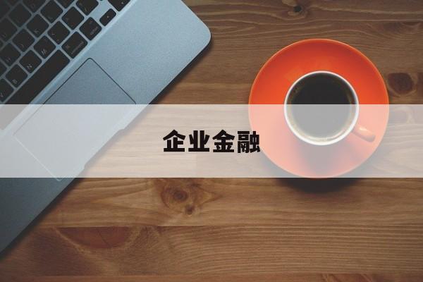 企业金融(企业金融化)